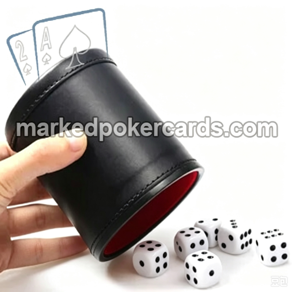 Magic Induction Dice Casino Cheating